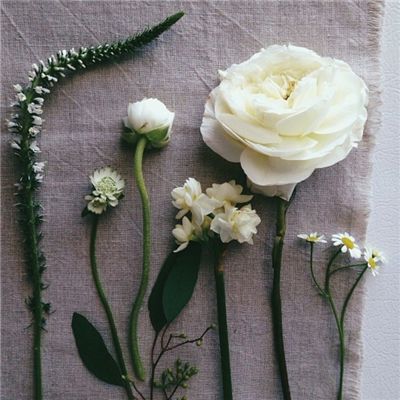 B体育登录APP下载手机app下载