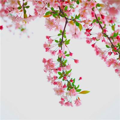 PG麻将胡了免费版手机app下载截图